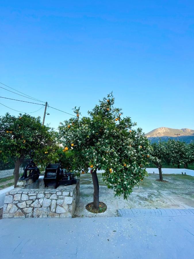 Citrus Garden Villa Epidaurus Eksteriør bilde
