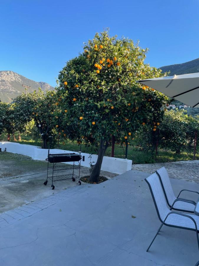 Citrus Garden Villa Epidaurus Eksteriør bilde