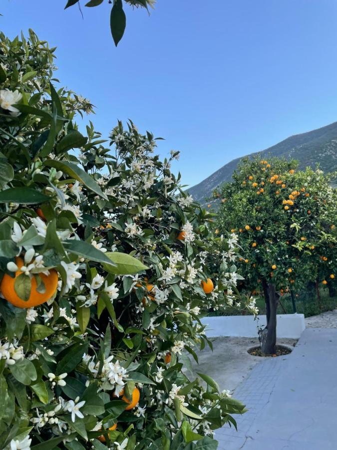 Citrus Garden Villa Epidaurus Eksteriør bilde