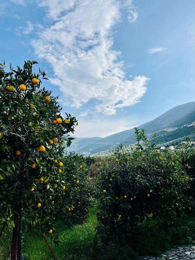 Citrus Garden Villa Epidaurus Eksteriør bilde